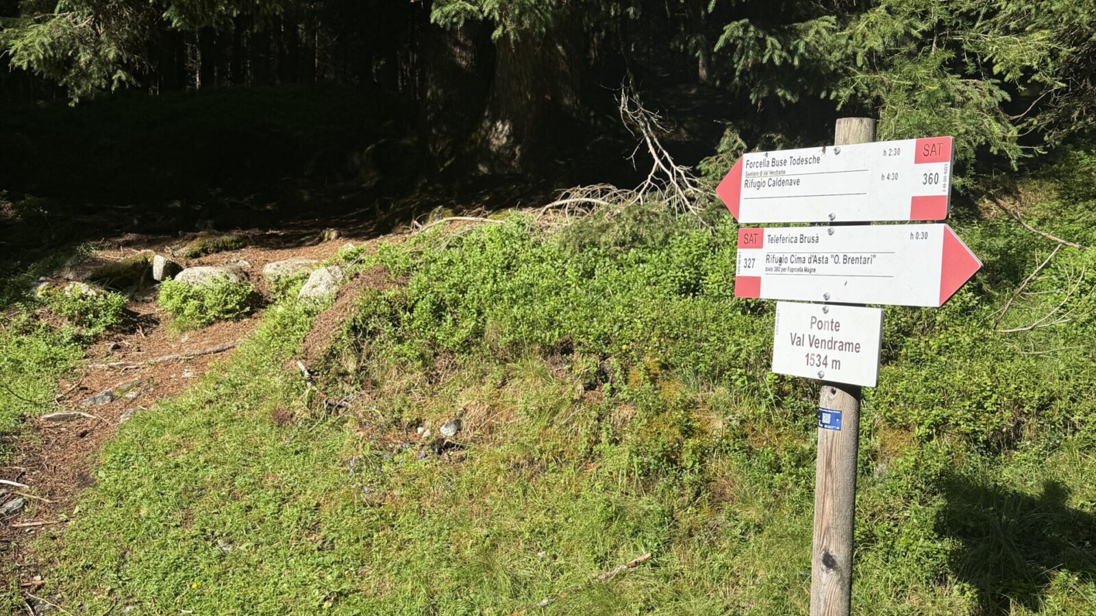 partenza del sentiero per passo delle buse todesche anello forcella segura 20260719 - 01_bivio_buse_todesche